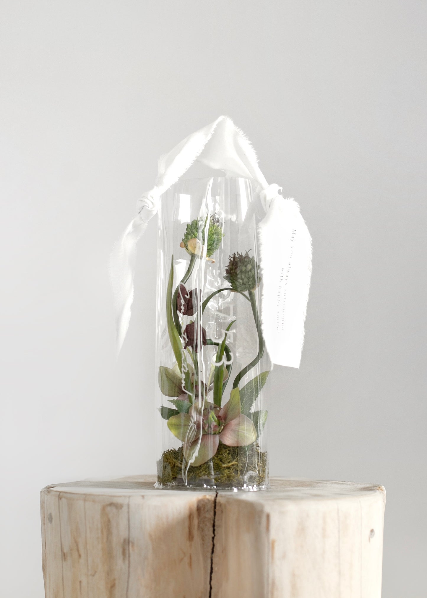 【再販予定・日程未定】753 clear bag